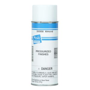Appliance Spray Paint 350956