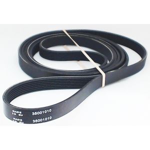Belt WP35001010