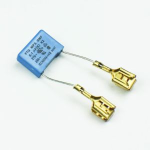 Capacitor Assembly WP902577