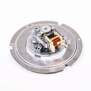 Convection Motor W10860189
