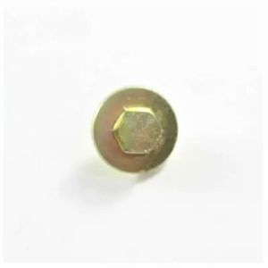 Customized Screw 1SZZEL3001A