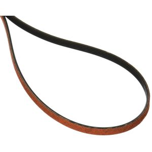 Drive Belt 3394652