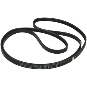 Drive Belt 00278339