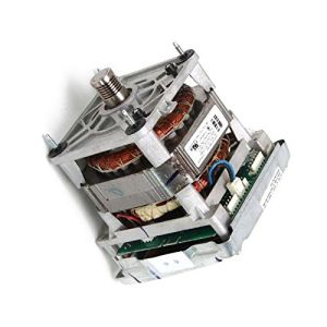 Drive Motor and Inverter Assembly WH20X10093