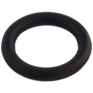 O-Ring 240527001