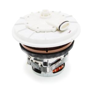 Pump and Motor Assembly W10428780