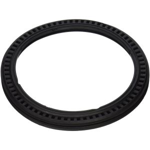 Pump Gasket 5300809586