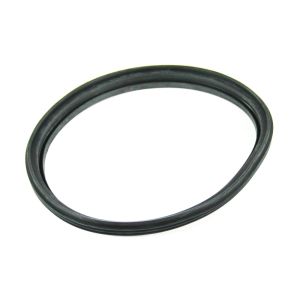 Pump Gasket 154365601