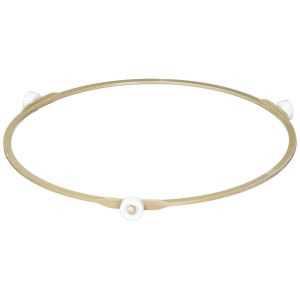 Roller Guide Assembly WB06X10374