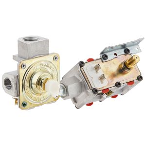 Safety Valve and Regulator Assembly WB19K10041