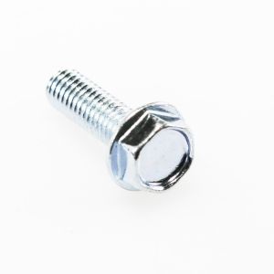 Screw WP489349
