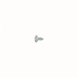 Screw 00420186