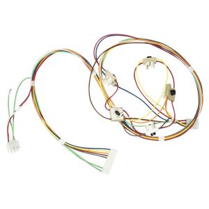 Spark Ignition Switch and Harness WB18X23942