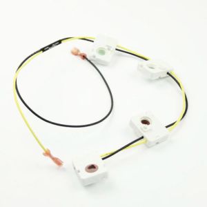 Spark Ignition Switch and Harness WB24X10068