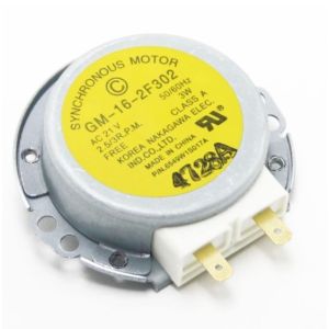 Synchronous Motor 6549W1S011J