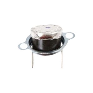 Thermostat WP53001817