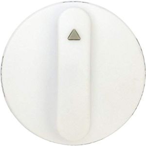 Valve Knob 74004650